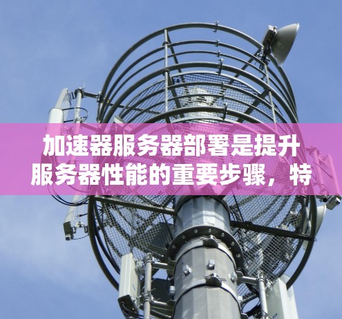 加速器服务器部署是提升服务器性能的重要步骤，特别是在需要高并发访问和数据传输的情况下。以下是一些常见的加速器服务器部署步骤和方法，帮助您高效地实现加速器功能