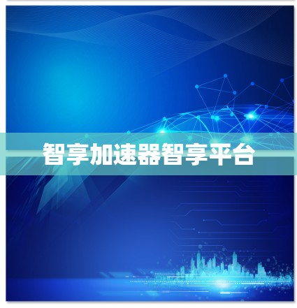 智享加速器智享平台