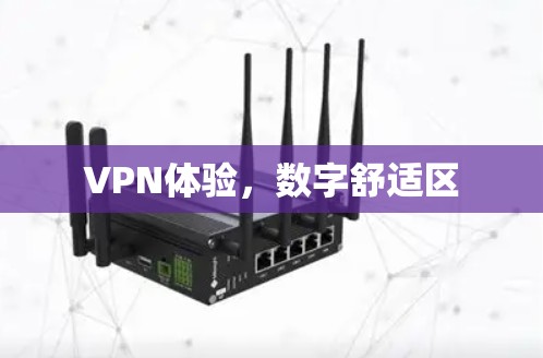 VPN体验，数字舒适区