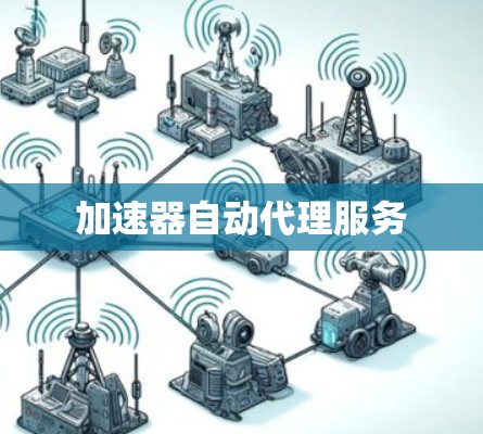 加速器自动代理服务