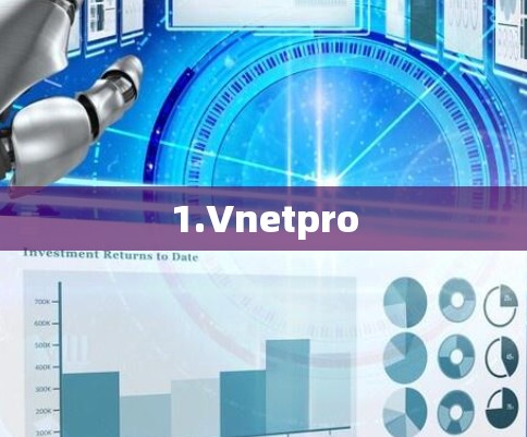 1.Vnetpro