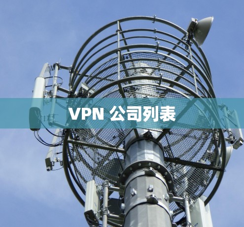 VPN 公司列表