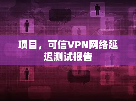 项目，可信VPN网络延迟测试报告