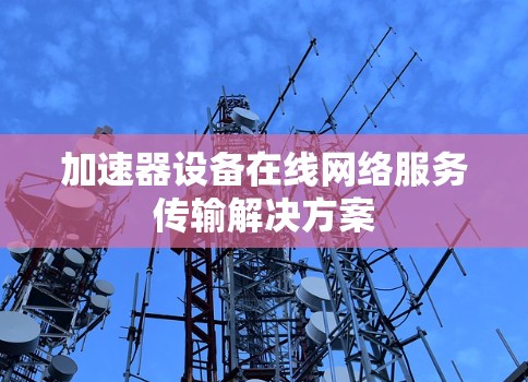 加速器设备在线网络服务传输解决方案