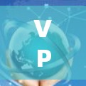 VPN国际网络工具的使用步骤