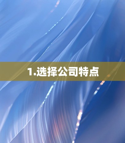 1.选择公司特点