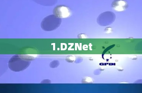1.DZNet