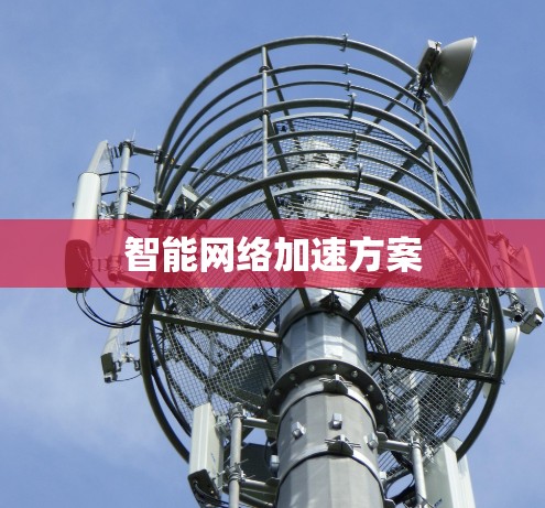 智能网络加速方案