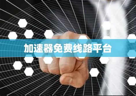 加速器免费线路平台