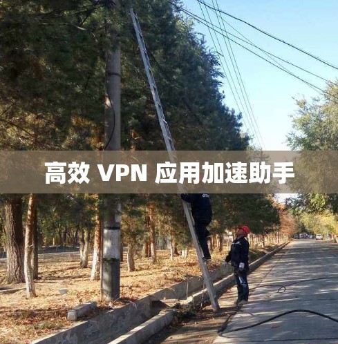 高效 VPN 应用加速助手
