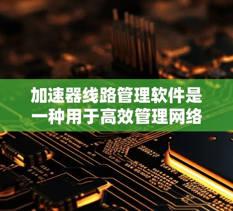 加速器线路管理软件是一种用于高效管理网络连接的工具，特别适用于提升网络速度的场景。以下是对该软件的详细分析和总结