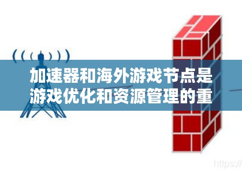 加速器和海外游戏节点是游戏优化和资源管理的重要工具，以下是它们之间的关系和使用指南