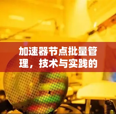 加速器节点批量管理，技术与实践的结合