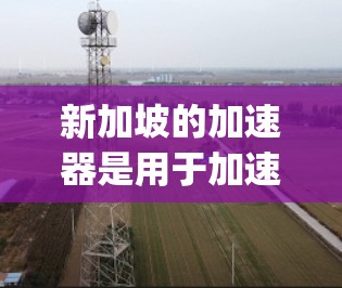 新加坡的加速器是用于加速汽车的装置，主要分布在Kangaroo Loop和Chinatown路两条加速线。以下是对这两条加速线的详细分析