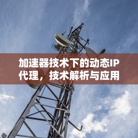 加速器技术下的动态IP代理，技术解析与应用实例