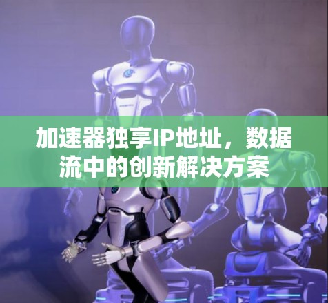 加速器独享IP地址，数据流中的创新解决方案