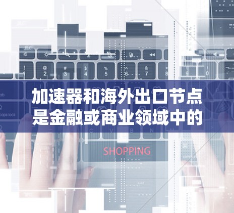 加速器和海外出口节点是金融或商业领域中的关键概念，以下是它们的详细解释和应用