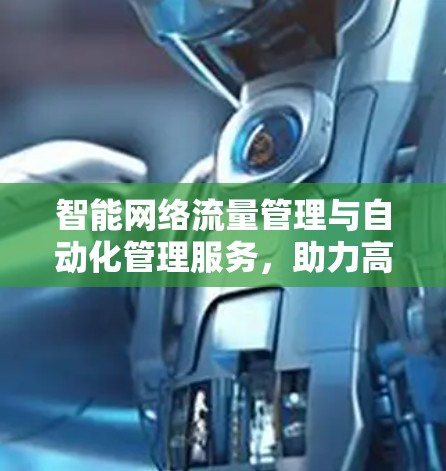 智能网络流量管理与自动化管理服务，助力高效网络运营