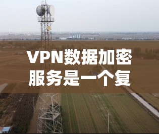 VPN数据加密服务是一个复杂而重要的技术，主要涉及以下几个关键方面