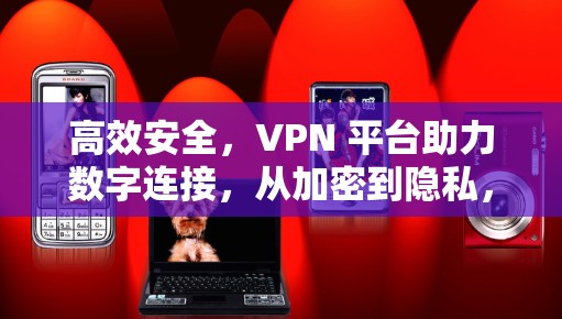 高效安全，VPN 平台助力数字连接，从加密到隐私，我们正在探索更 secure 的未来