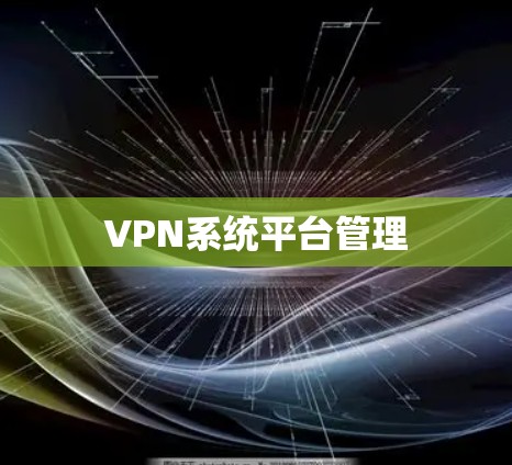 VPN系统平台管理