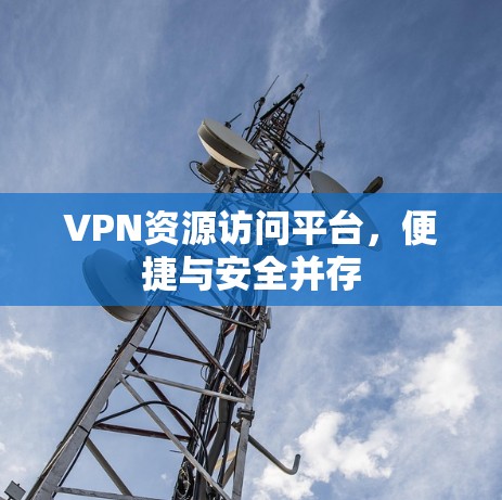 VPN资源访问平台，便捷与安全并存