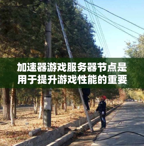 加速器游戏服务器节点是用于提升游戏性能的重要工具，主要由NVIDIA显卡驱动。以下是详细的步骤和注意事项