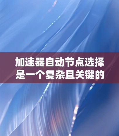 加速器自动节点选择是一个复杂且关键的系统操作，旨在优化资源利用和计算效率。以下是对该主题的详细分析和总结