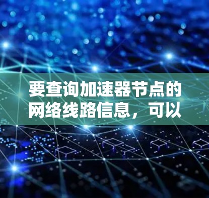 要查询加速器节点的网络线路信息，可以按照以下步骤操作