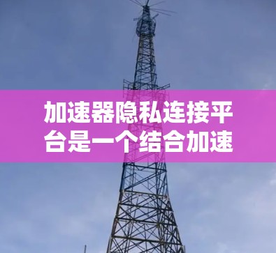 加速器隐私连接平台是一个结合加速和隐私保护的网络工具，用户可以在加速器网站上使用该平台，以获得更快的下载速度，并保护用户的数据和隐私。以下是对该平台的详细介绍