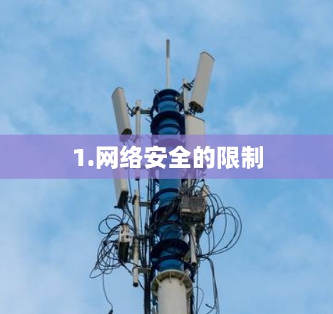 1.网络安全的限制