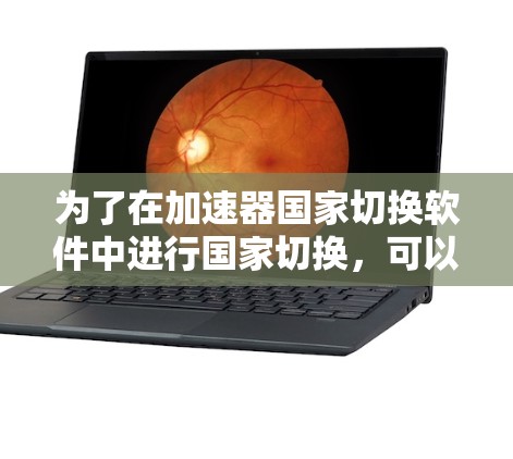 为了在加速器国家切换软件中进行国家切换，可以按照以下步骤进行操作