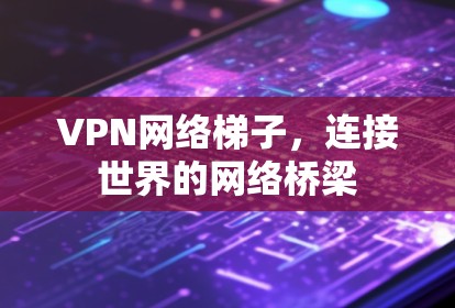 VPN网络梯子，连接世界的网络桥梁