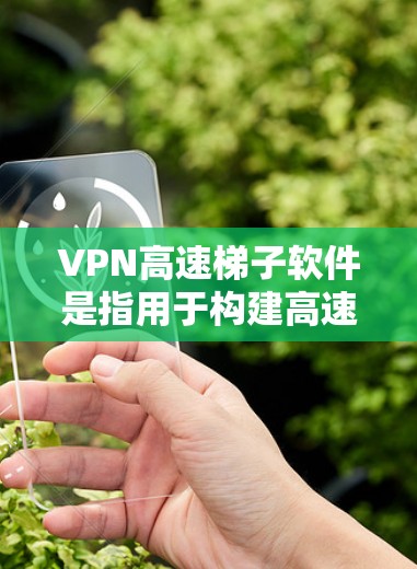 VPN高速梯子软件是指用于构建高速VPN连接的工具或软件。以下是一个详细的步骤指南，帮助您在特定环境中构建高速VPN