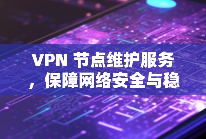 VPN 节点维护服务，保障网络安全与稳定