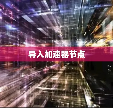 导入加速器节点