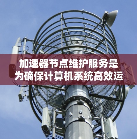 加速器节点维护服务是为确保计算机系统高效运行而实施的重要维护措施，涵盖了从软件安装到工具管理、监控、备份、安全等方面。以下是维护服务的主要功能和组成部分