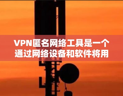 VPN匿名网络工具是一个通过网络设备和软件将用户连接到外部互联网，提供安全、可靠连接的工具。以下是对这些工具的详细分析