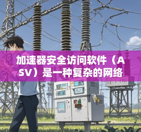 加速器安全访问软件（ASV）是一种复杂的网络安全工具，旨在保护网络和服务器免受恶意流量和攻击的威胁。以下是对ASV的详细分析