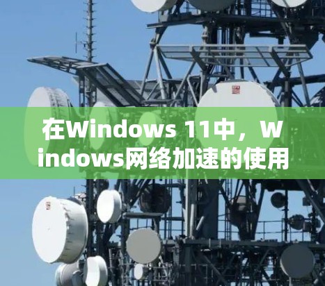 在Windows 11中，Windows网络加速的使用步骤如下
