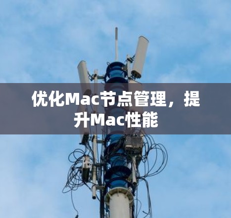 优化Mac节点管理，提升Mac性能