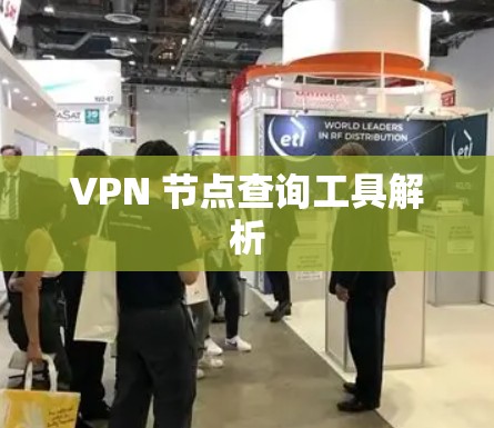 VPN 节点查询工具解析