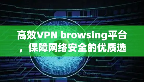 高效VPN browsing平台，保障网络安全的优质选择