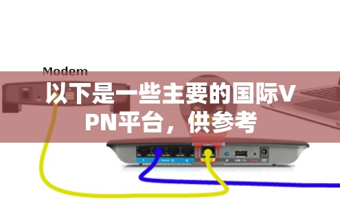 以下是一些主要的国际VPN平台，供参考