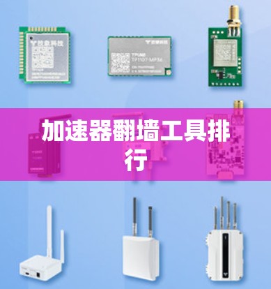 加速器翻墙工具排行
