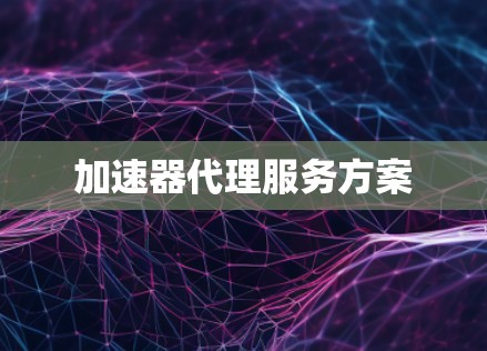 加速器代理服务方案