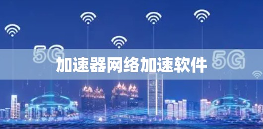 加速器网络加速软件