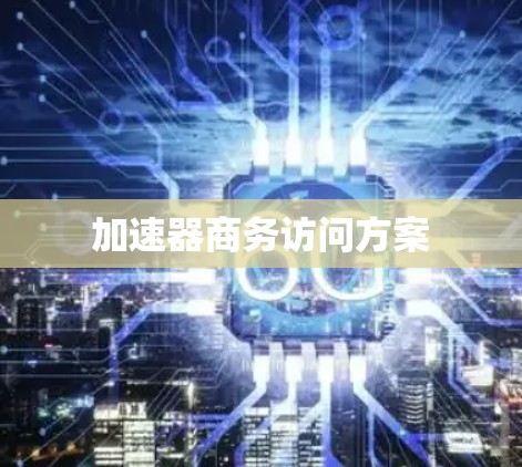 加速器商务访问方案