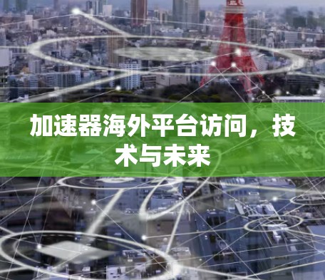 加速器海外平台访问，技术与未来