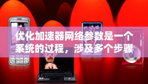 优化加速器网络参数是一个系统的过程，涉及多个步骤和工具，以下是一个有条理的总结